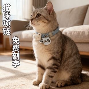 宠物项链猫牌狗牌小型犬防丢牌挂牌狗狗铭牌刻字猫咪项圈名字制定