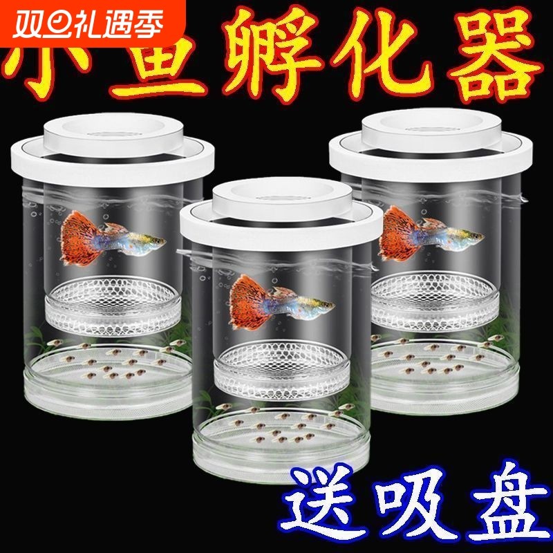 孔雀鱼繁殖隔离盒小鱼苗凤尾幼鱼母鱼产房漂浮孵化罐网鱼缸生产
