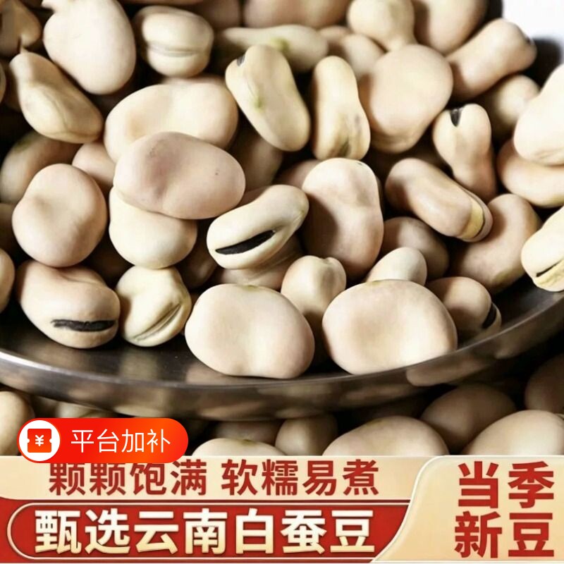 云南白蚕豆50g批发农家新鲜五谷杂粮罗汉豆白皮半斤绿豆新货