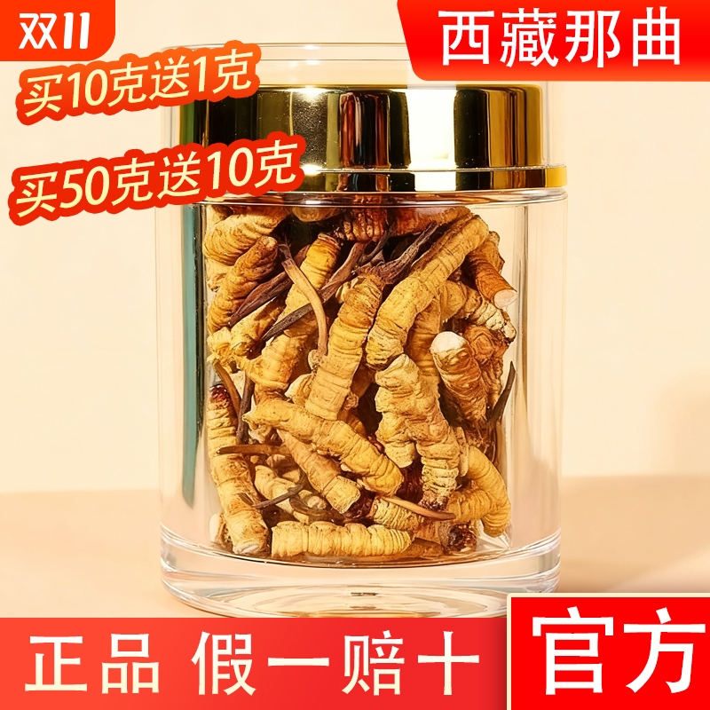 精选那曲特级野生冬虫夏草大断草新货头期干刷正品官方假一赔十