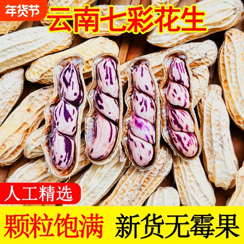 七彩花生云南特产带壳七彩花生米2025新货生熟水煮咸干五彩花生