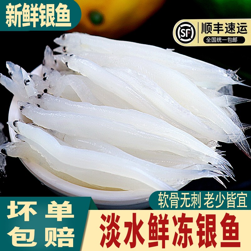 大银鱼小银鱼淡水银鱼新鲜速冻商用批发半成品面条鱼宝宝辅食