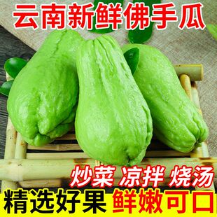 佛手瓜新鲜云南洋瓜丰收瓜洋丝瓜倭瓜寿瓜农家自种蔬菜现摘