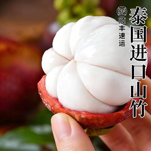 现摘现发顺丰包邮时令油山竹麻竹