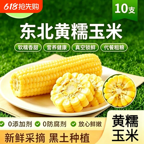 东北原产黄糯玉米香甜粘糯拉丝健康粗粮玉米真空锁鲜装早餐新鲜