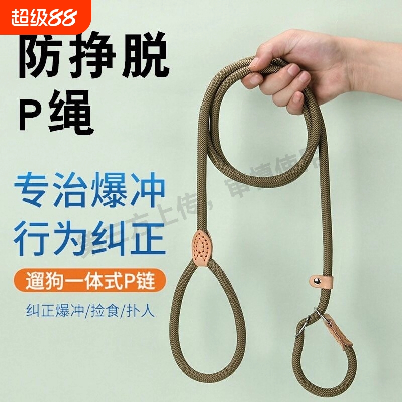 狗狗牵引绳宠物狗胸背带小型犬泰迪比熊专用背心式狗背带夏季外出