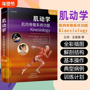 肌动学肌肉骨骼系统功能 第3版三版 约瑟夫 穆斯科利诺 物理治疗师私人教练工具书 骨学骨关节学肌学书 基础肌动学