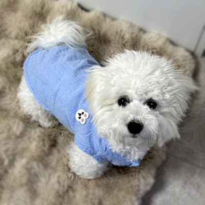 狗狗衣服春夏款防掉毛背心小中型犬泰迪猫咪防晒透气可爱薄款马甲