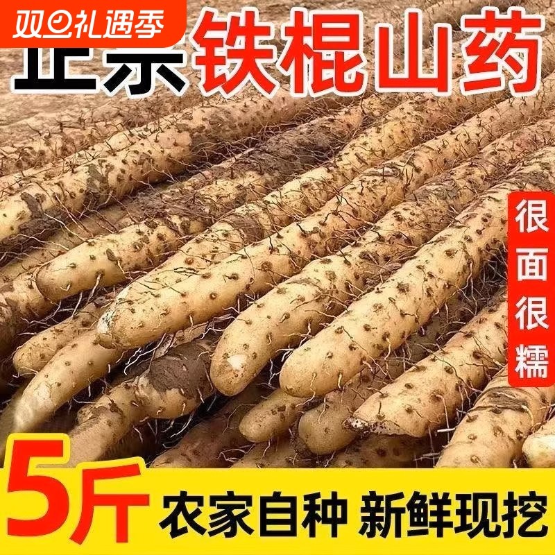 正宗垆土铁棍山药新鲜5斤净重蔬菜温县铁杆山药原产地发粉糯香甜