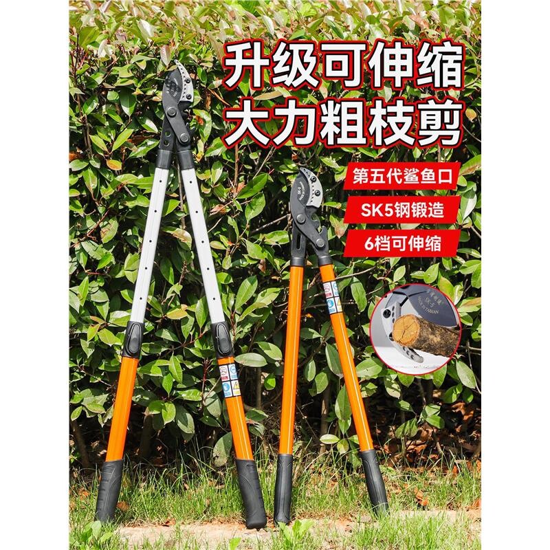 剪枝剪刀修枝果树专用园艺树枝剪修剪神器省力修大枝强力粗枝剪刀图片