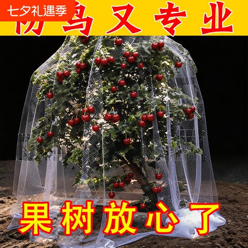 果树防鸟网罩新款|超3000次加购