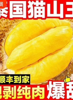 泰国进口冷冻榴莲肉树熟猫山王榴莲肉650g 榴莲 生鲜水果