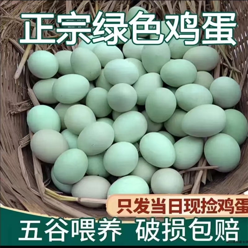 散养绿壳土鸡蛋新鲜现发乌鸡蛋正宗无抗谷物喂养批发40g30枚50枚