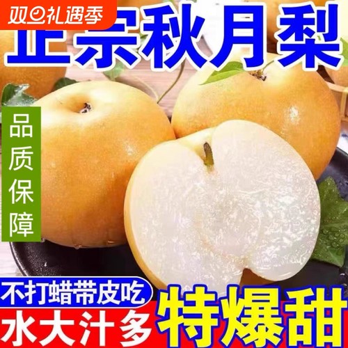 【热卖】正宗梨子冰糖秋月梨爆甜新鲜雪梨蜜梨黄皮梨当季现摘水果
