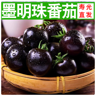 小番茄露天种植孕妇水果墨明珠黑玫瑰新鲜紫龙樊圣女果紫色小柿子