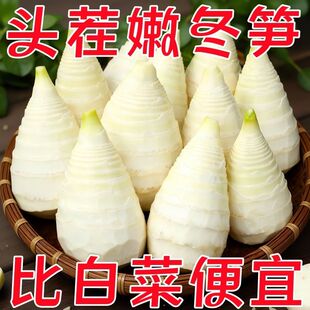 冬笋新鲜野生竹笋嫩笋尖袋装火锅食材蔬菜商用批发食用炒菜凉拌