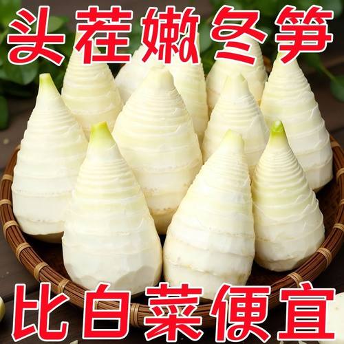 冬笋新鲜野生竹笋嫩笋尖袋装火锅煲汤食材蔬菜商用批发
