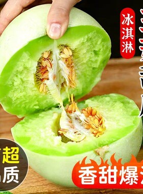 山东玉菇甜瓜冰激凌软糯口感