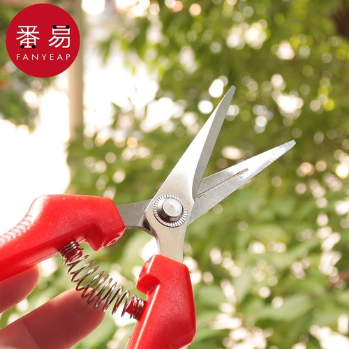 采果剪A1vq0-修枝剪园艺剪水果蔬菜剪刀桔子采摘剪刀摘果剪刀