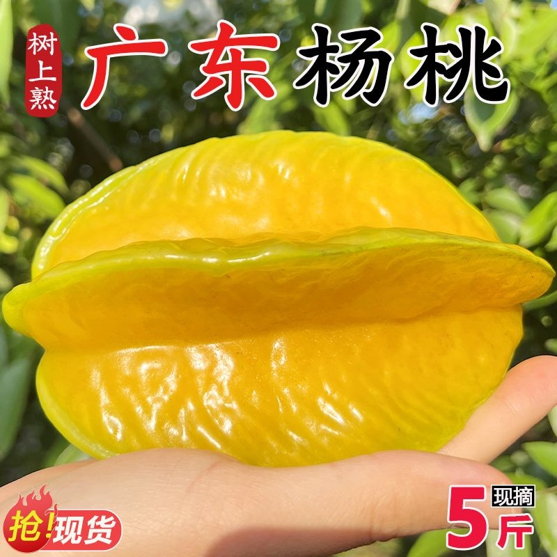 杨桃水果新鲜应季当季甜孕妇