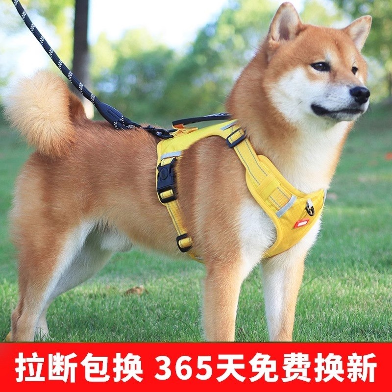 狗狗牵引绳背心式中小型犬柴犬柯基犬专用幼犬可调节胸背带遛狗绳