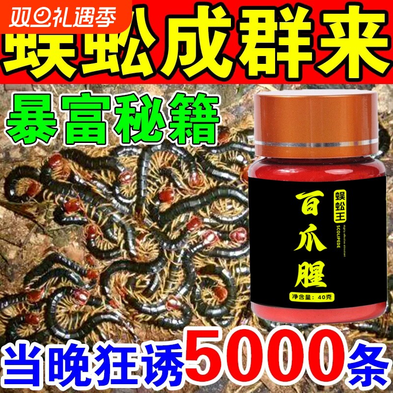 抓蜈蚣神器当晚来蜈蚣户外活虫诱