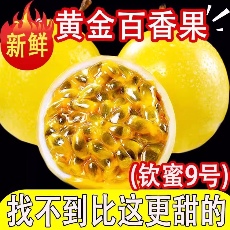 人工采摘精选好果丨【当日发出】