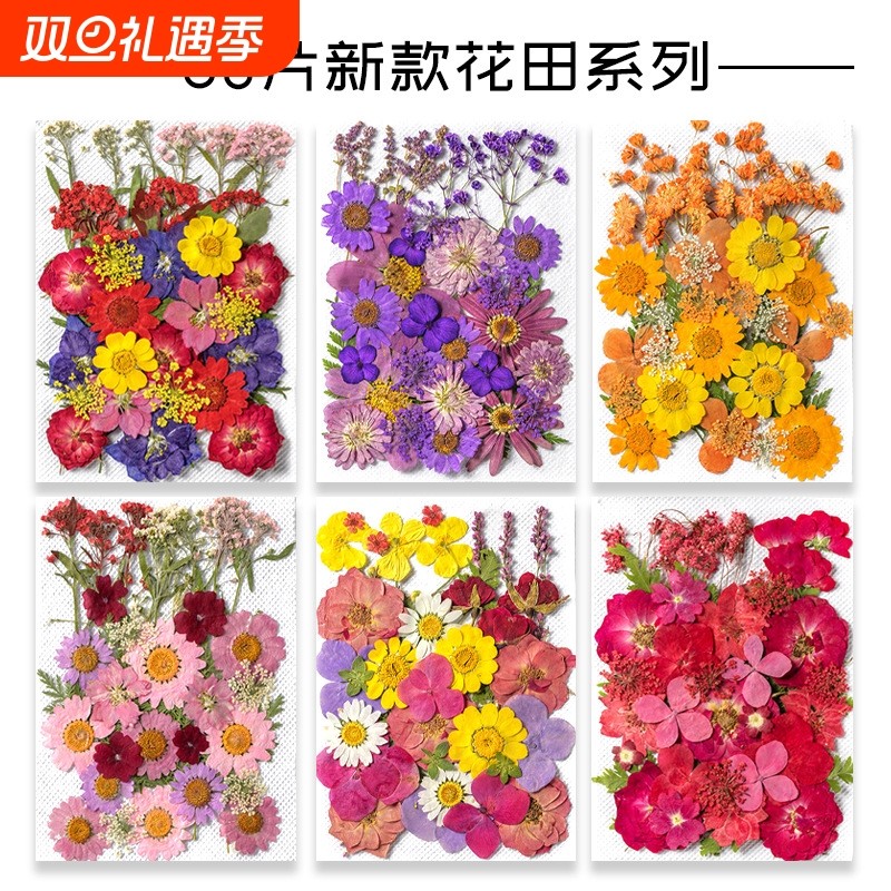 干花真花diy材料压花网红贴脸装饰眼角贴花瓣妆仙女新娘少女写真