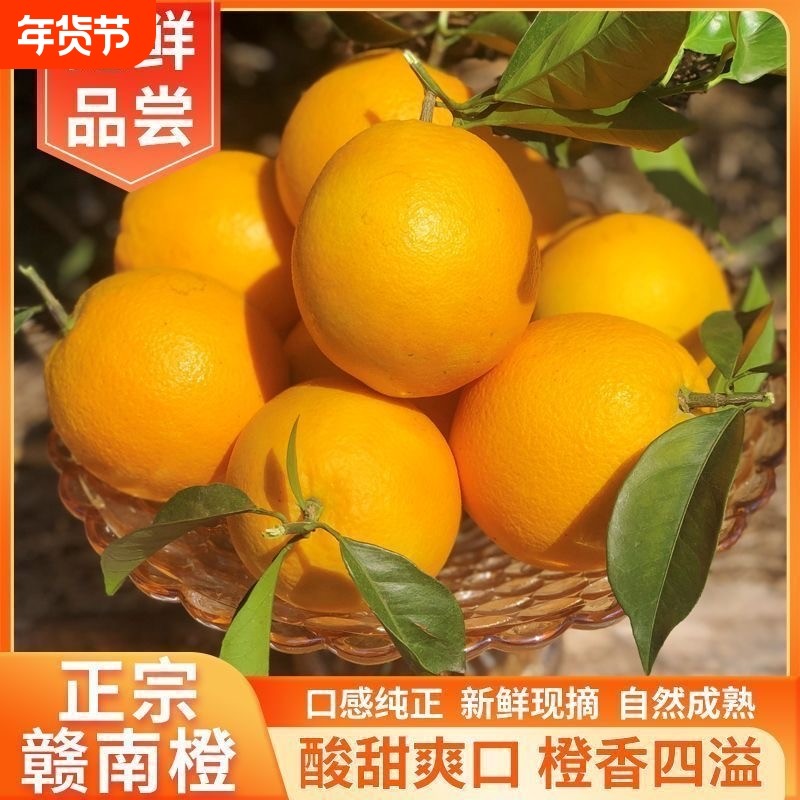 江西赣南脐橙新鲜9斤水果应当季整箱赣州官方直发正宗源产地橙子,水产肉类/新鲜蔬果/熟食,橙,淘宝优惠券,粉丝福利购,淘宝优惠卷