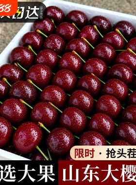 【5斤烟台大樱桃特惠】又硬又甜