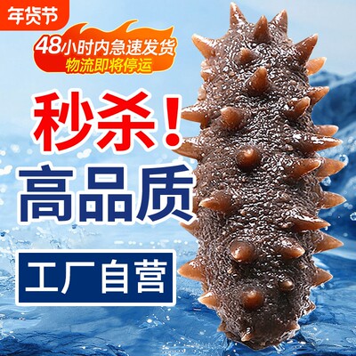 【全网秒杀】高品质大连海参即食