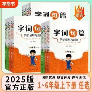 字词句篇同步讲解与训练一二三四五六年级下册语文人教版