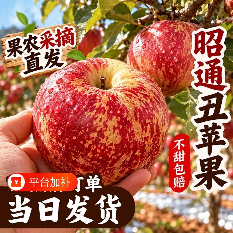 云南昭通丑苹果新鲜水果正宗冰糖心应季当季水果整箱产地直发
