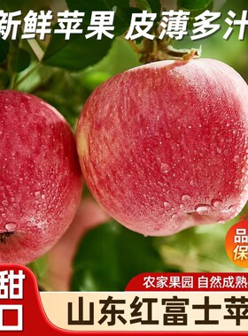山东红富士苹果当季5斤新鲜水果