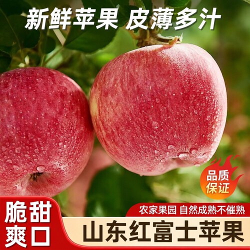 山东红富士苹果当季5斤新鲜水果