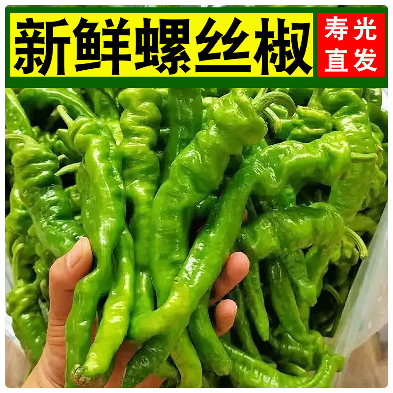 新鲜正宗螺丝胶产地直发