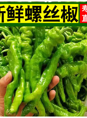 新鲜正宗螺丝胶产地直发