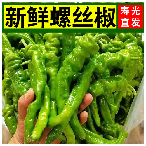 新鲜正宗螺丝胶产地直发