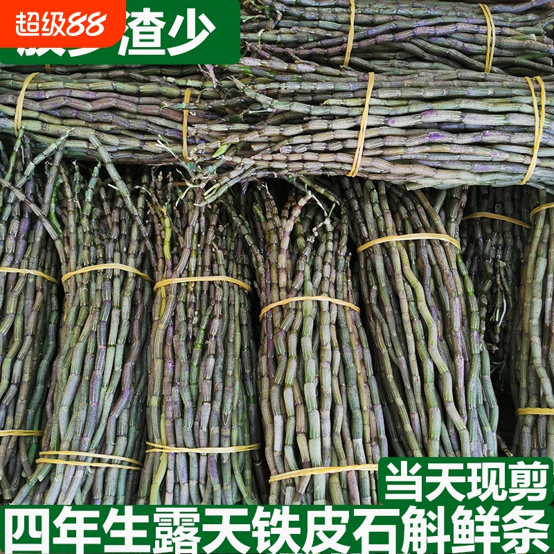 新鲜铁皮石斛鲜条500克四年露天铁皮石斛干条石斛花石斛枫斗