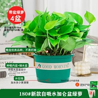 180#Галлон утренний горшок [4] Поставка для доставки бассейна +10 жира 2