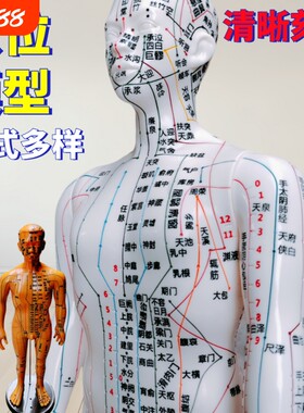 针灸穴位人体全身经络穴位模型