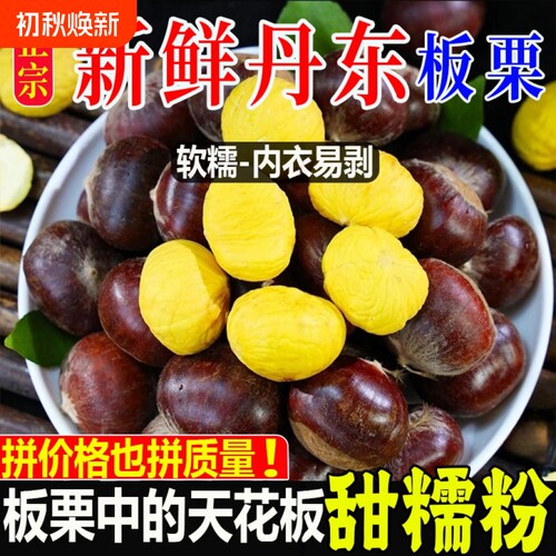 正宗新鲜生现摘丹东板栗