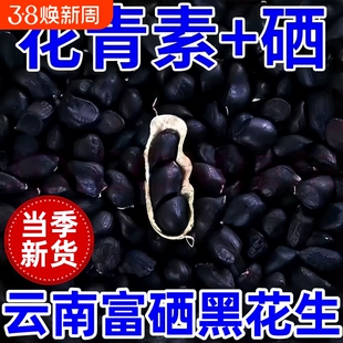 特价！云南富硒黑花生正品带壳紫衣花生黑衣生花生原味新鲜黑皮