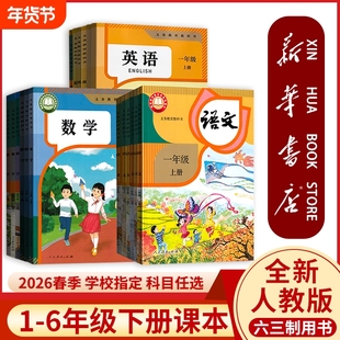 新华书店正版小学一二年级三四五年级六年级下册全套课本人教版2026春季6六下语文数学英语书教科书教材人民教育出版社起点六三制