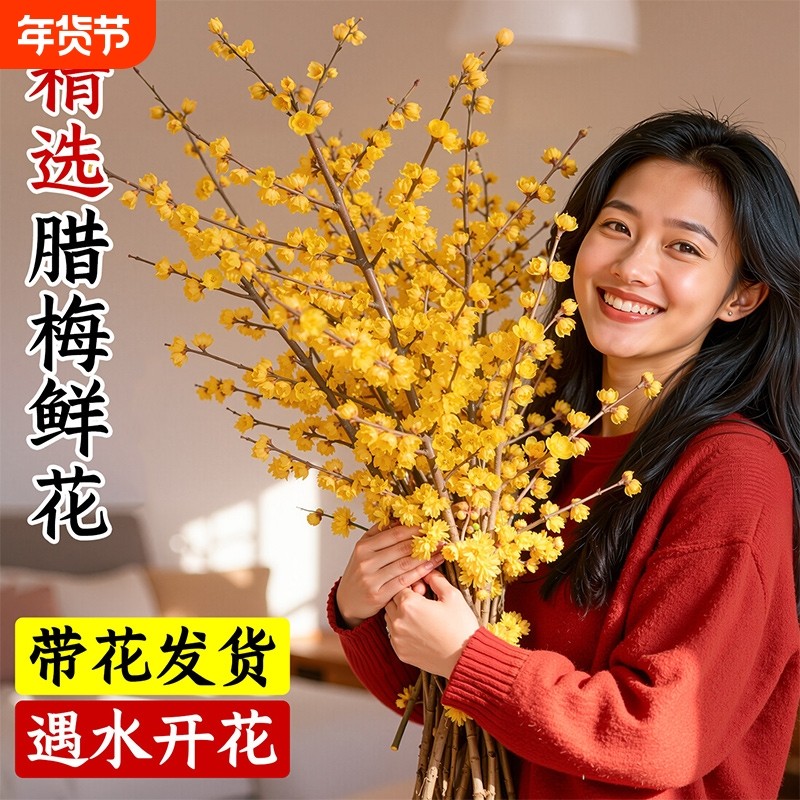 腊梅鲜枝水培植物鲜切红梅花雪柳干枝花苞发货室内绿植物花卉盆栽,鲜花速递/花卉仿真/绿植园艺,花材,淘宝优惠券,粉丝福利购,淘宝优惠卷