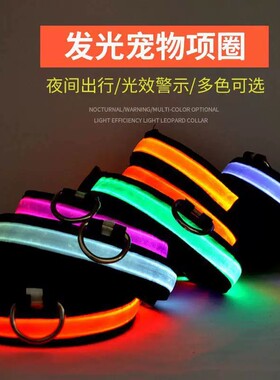 狗狗发光项圈夜间遛狗夜光夜行灯大小型犬带灯充电宠物反光脖子