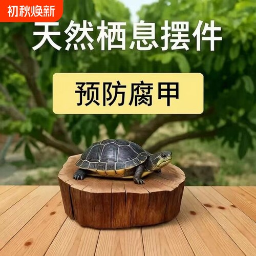 乌龟爬台龙眼木晒背天然沉木晒台