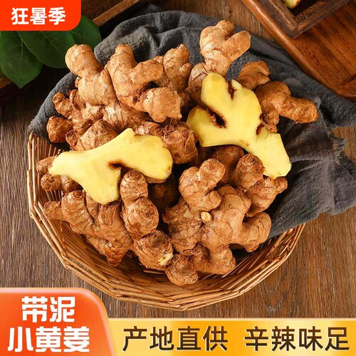 山东大姜优质生姜老姜月子姜风干姜现挖鲜姜新鲜老黄姜食用精选