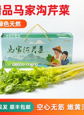 山东青岛平度特产凉拌马家沟芹菜