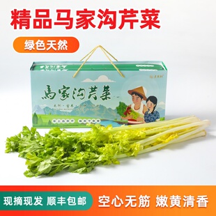 马家沟芹菜山东特产青岛平度有机芹菜贡品芹菜芯甄选新鲜蔬菜时令